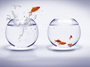 量子计算使用技巧：量子算法验证方法详解